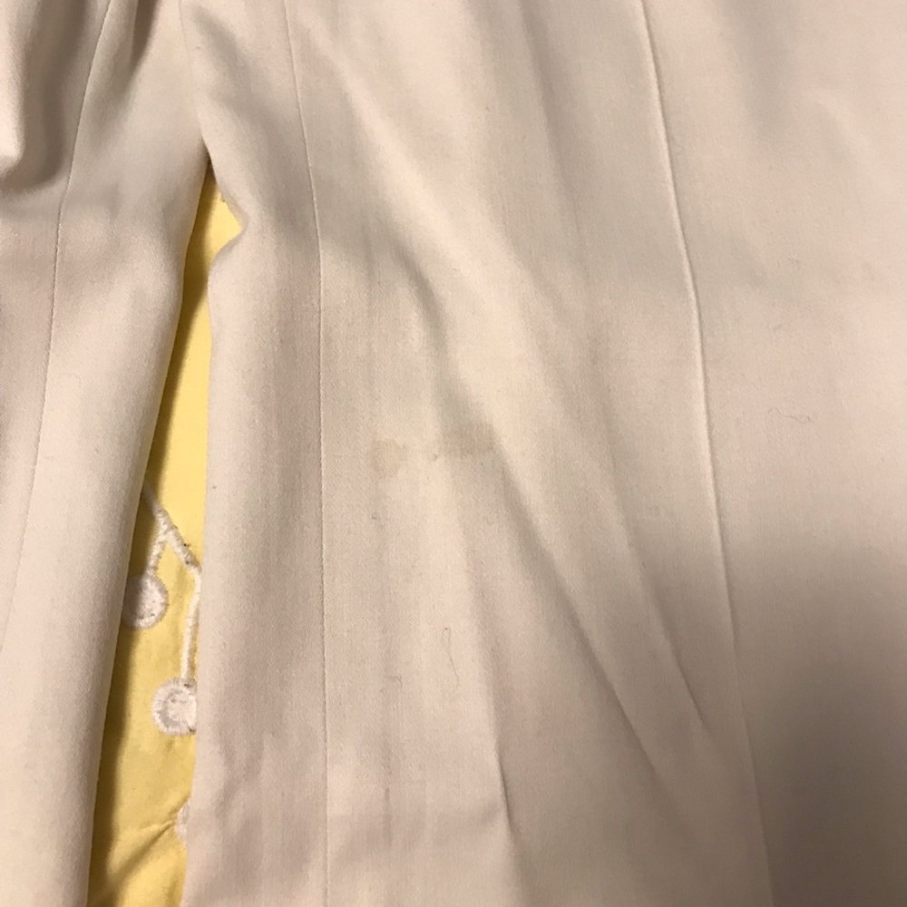 Fully Lined Winter White Pants. Will Include Gree… - image 2